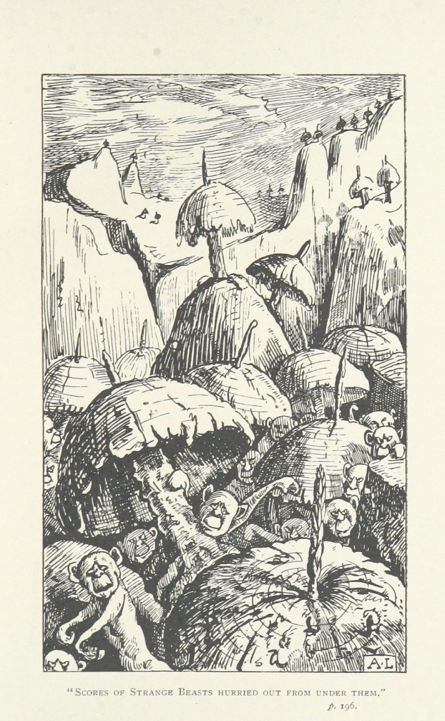 11232709045_49544f2491_h